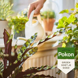 Pokon - BIO Kamerplanten Voeding 1 liter