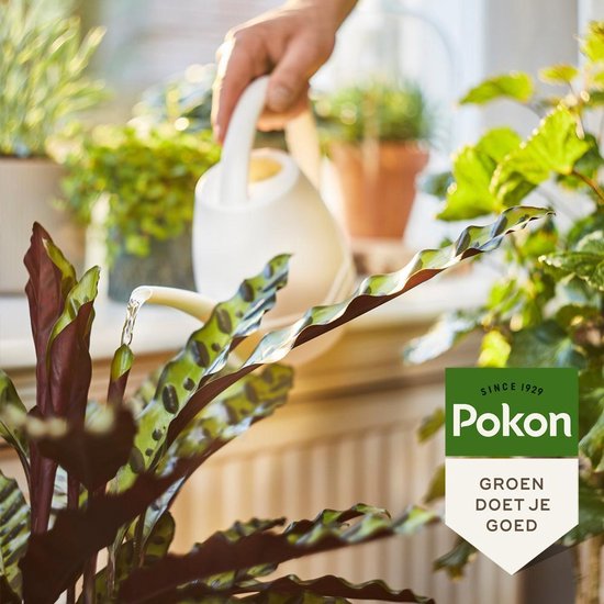 Pokon - BIO Kamerplanten Voeding 1 liter