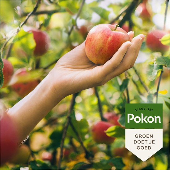 Pokon BIO fruitbomenmest met hand die een appel vasthoudt; logo en claim zichtbaar