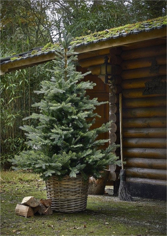 Everlands - Grandis Fir kunstkerstboom 210 cm