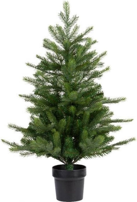 Groene mini-boom in zwarte pot