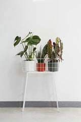 Elho - B. For Soft Round Anthracite 25cm