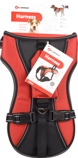 Flamingo - Harnas Kelso Rood M