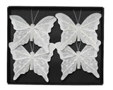 Vlinder veer op clip