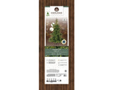 Everlands verpakkingsdoos met afbeelding van Grandis fir kerstboom