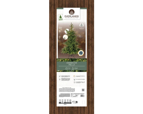Everlands -Grandis fir Micro LED indoor 180cm