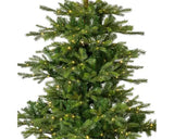 Everlands - Grandis fir Micro LED indoor 210cm