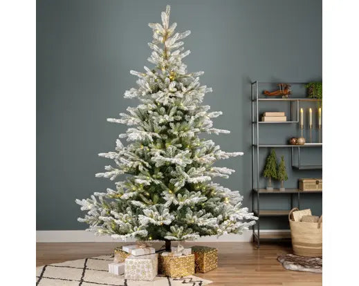 Everlands - Snowy Grandis fir Micro LED indoor 210cm