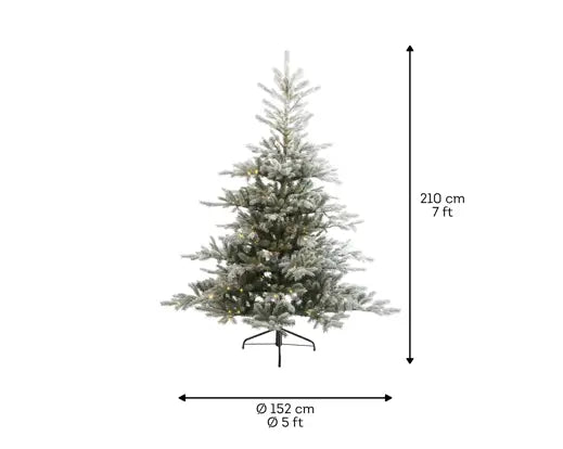 Everlands - Snowy Grandis fir Micro LED indoor 210cm