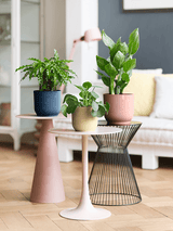 Set ronde plantenpotten met ribbelstructuur