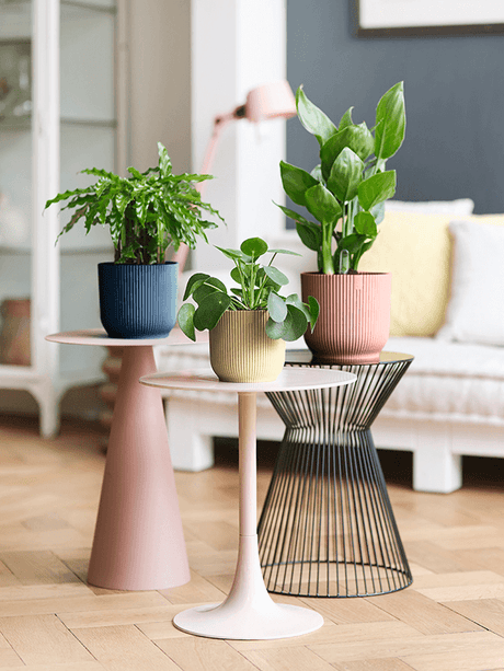 Set ronde plantenpotten met ribbelstructuur