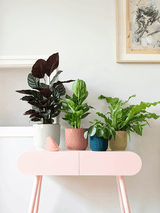 Lichtroze ronde plantenpot met verticale ribbels
