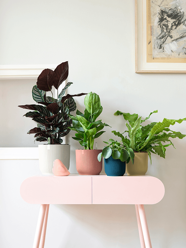 Lichtroze ronde plantenpot met verticale ribbels