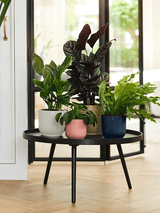 Ronde plantenpotten met ribbelstructuur in wit, roze en blauw