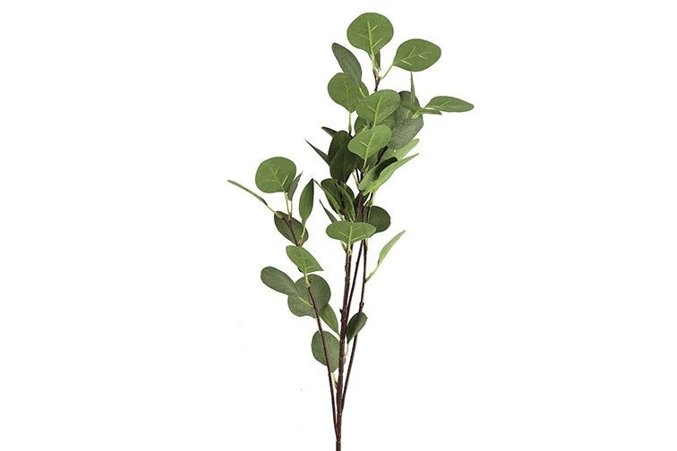 Eucalyptus groen-L17B17H90CM