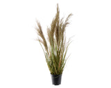 Gras in pot plastic 115cm