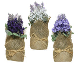 Lavendel plastic assorti