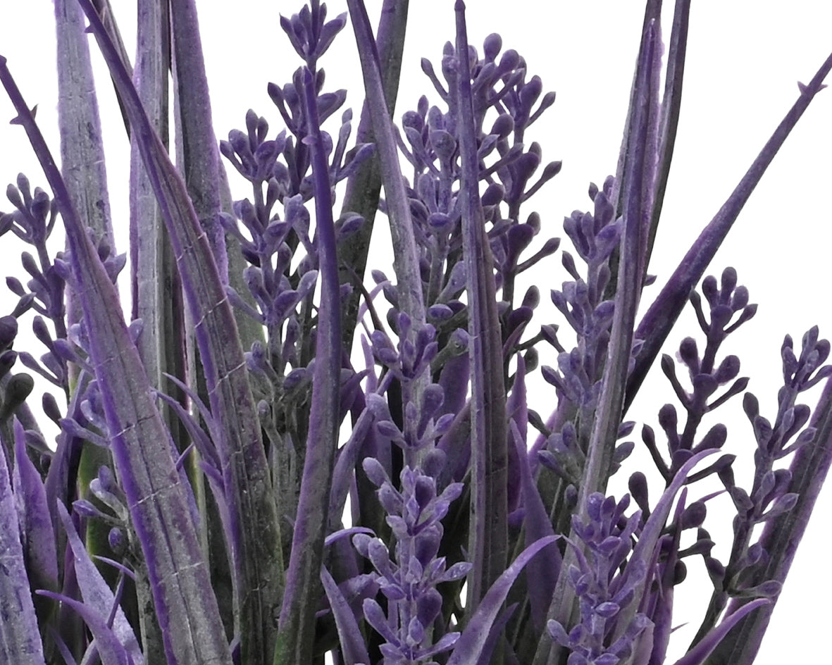 Lavendel in pot plastic assorti