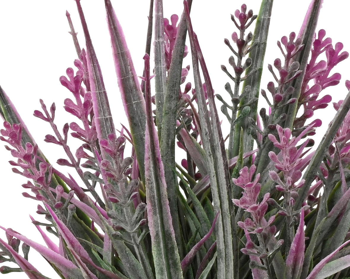 Lavendel in pot plastic assorti