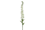 Delphinium wit-L10B10H137CM