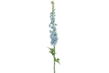 Delphinium blauw-L10B10H137CM