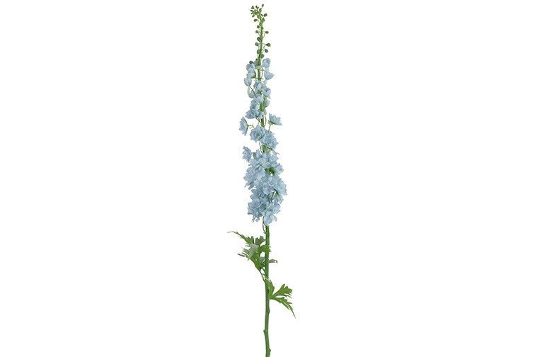 Delphinium blauw-L10B10H137CM