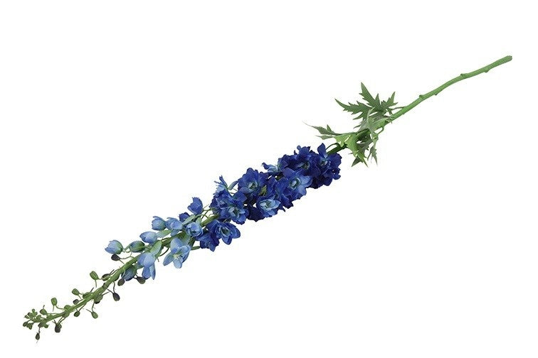 Delphinium d.blauw-L10B10H137CM