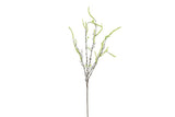 Salix babylonica geel-L86B20H5CM