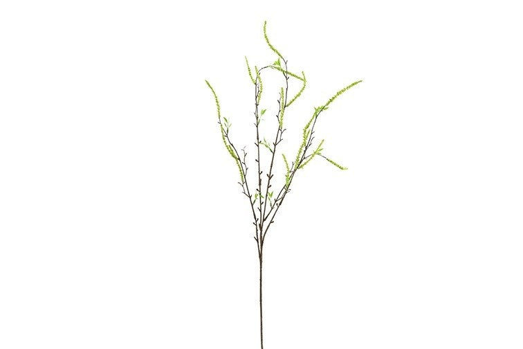 Salix babylonica geel-L86B20H5CM