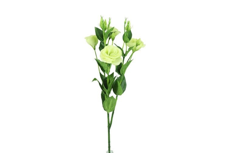 Lisianthus L geel-L15B15H77CM