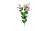 Lisianthus L lila-L15B15H77CM