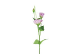 Lisianthus S lila-L15B15H67CM