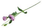 Lisianthus S lila-L15B15H67CM