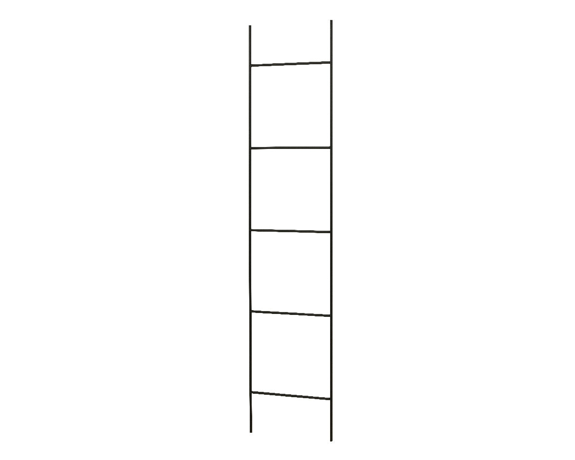 Ladder ijzer