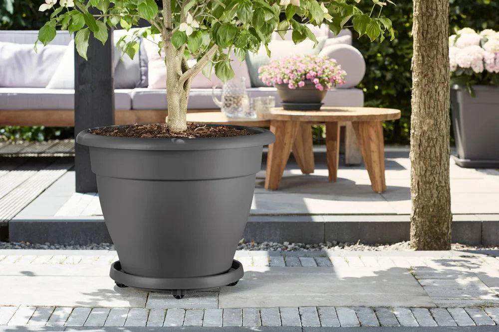 Elho - plantentrolley Universeel antraciet D 28,5 H 6,5 cm