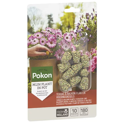 Pokon - Terras & Balkon Planten Voedingskegels 10st