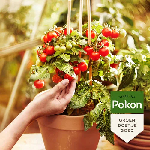 Pokon - BIO Moestuin voeding 500ml