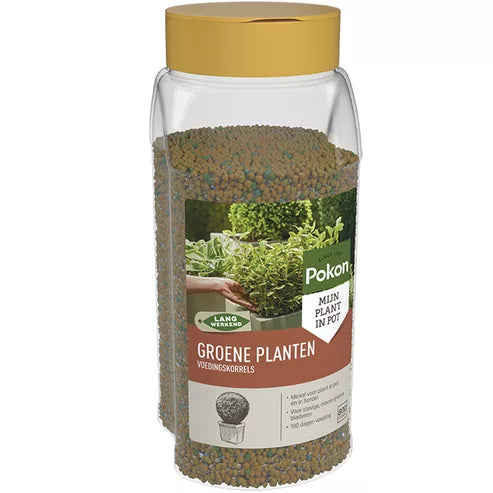 Pokon - Groene Planten Voedingskorrels 800gr