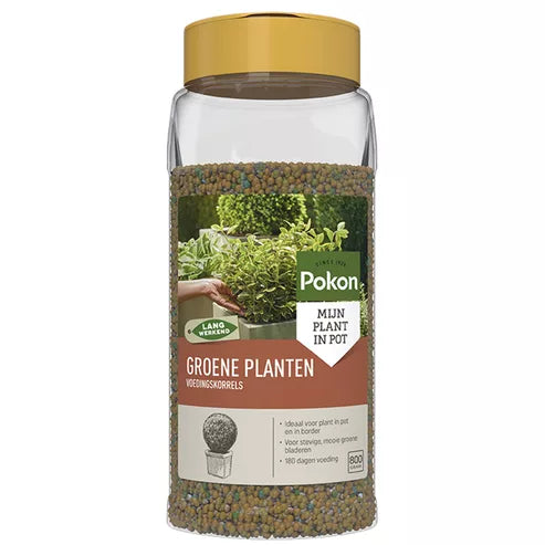 Pokon - Groene Planten Voedingskorrels 800gr