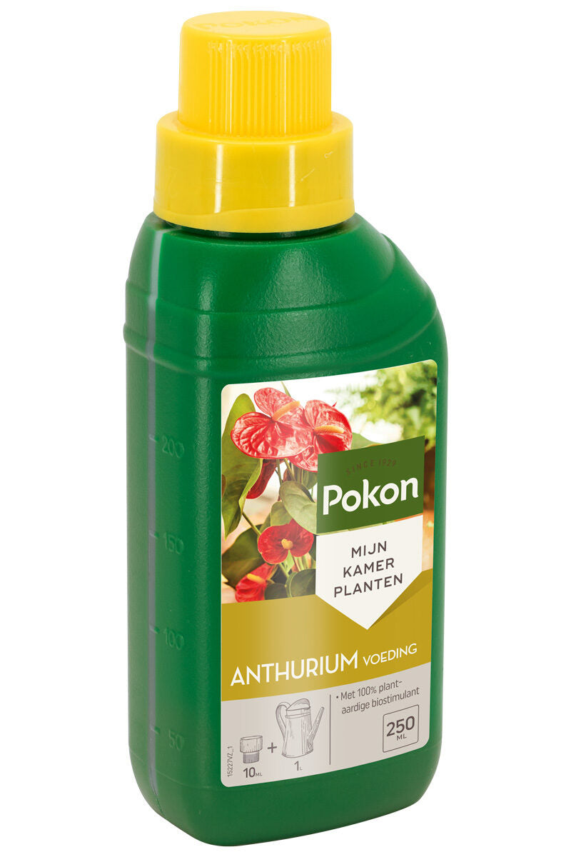 Pokon Anthurium Voeding 250ml