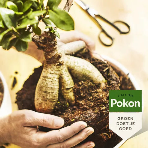 Pokon - Bonsai voeding 250Ml