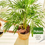 Pokon - BIO turfvrije palmen potgrond 10 liter