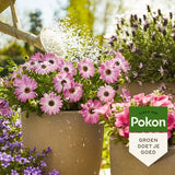 Pokon - Terras & Balkon Planten Voeding 500ml