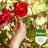 Pokon - Rozen Mest 1Kg