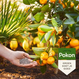 Pokon - Mediterrane Planten Mest 1 kilo voor 25 planten