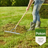 Pokon - Graszaad Herstel 250Gr