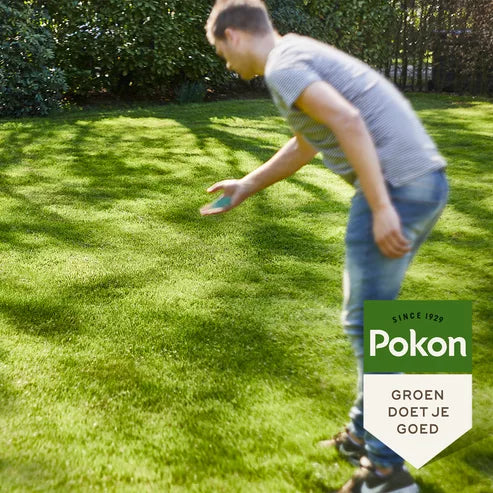 Pokon - Graszaad Schaduw 1Kg