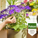 Pokon Bloeiende Planten Voeding 250ml