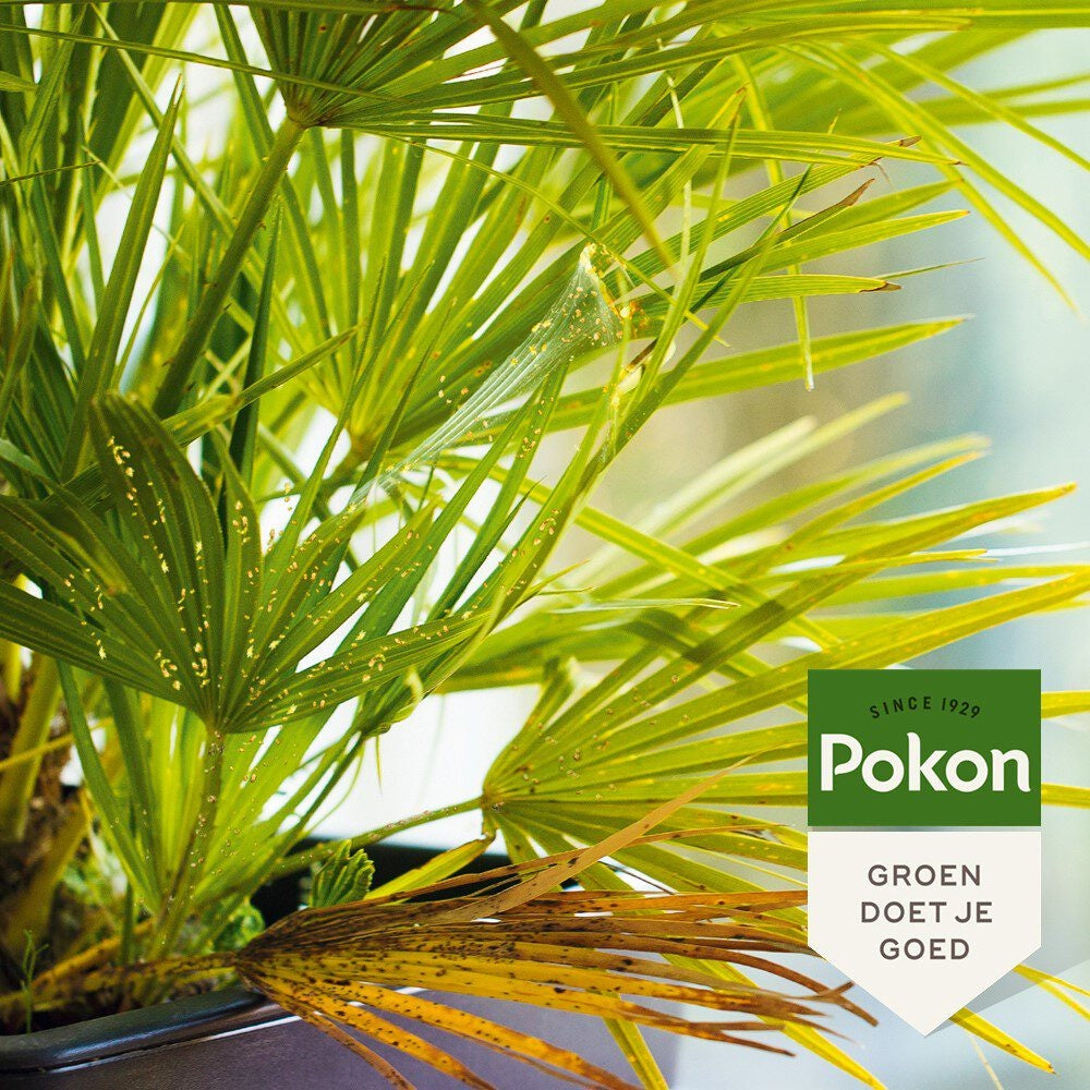 Pokon Bio Tegen Hardnekkige Insecten Polysect Spray 800ml