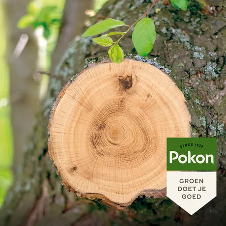 Pokon - Wondafdekmiddel 300 gram met handige kwastdop